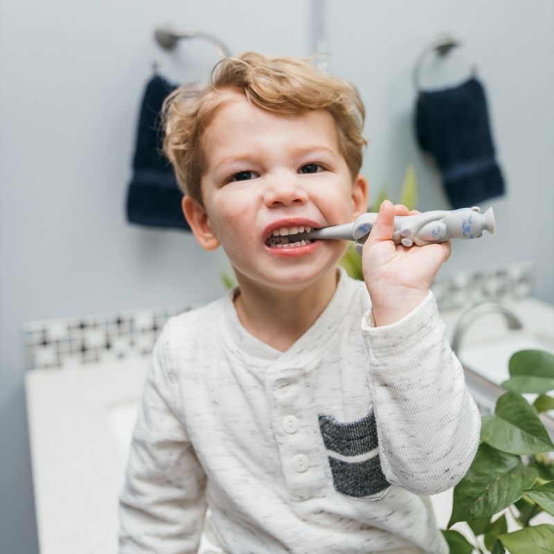 Cepillo de dientes para Bebés y Niños pequeño nutria